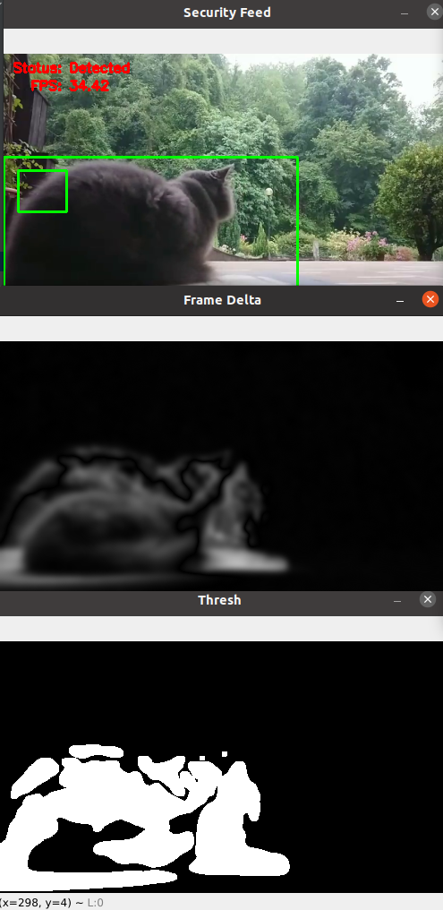 Surveillance with Motion Detection