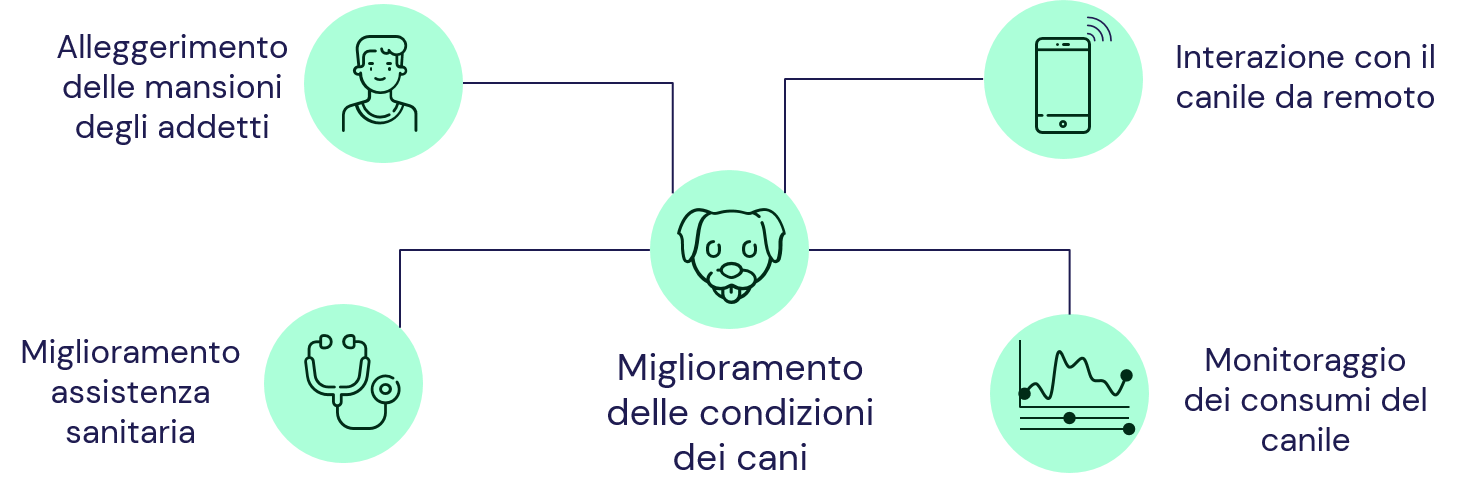 Obbiettivi principali