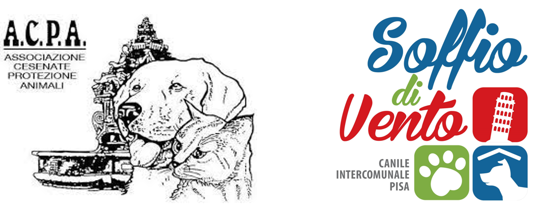 I due canili interpellati in qualità di esperti del dominio